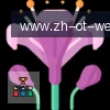 问鼎娱乐 logo
